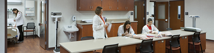 Group of students working o the lab